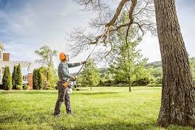 Best Seasonal Cleanup (Spring/Fall)  in Whitney, NV